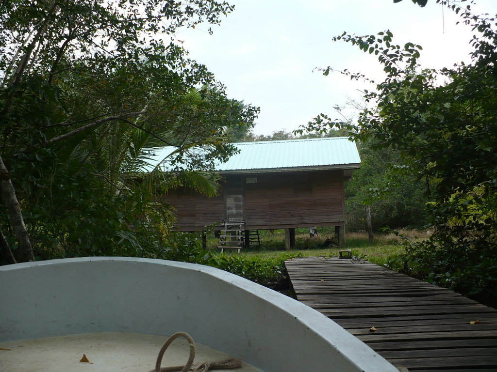 Help avert ecological disaster threatening Belize!