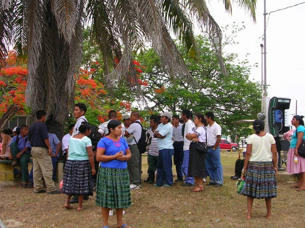 Help avert ecological disaster threatening Belize!