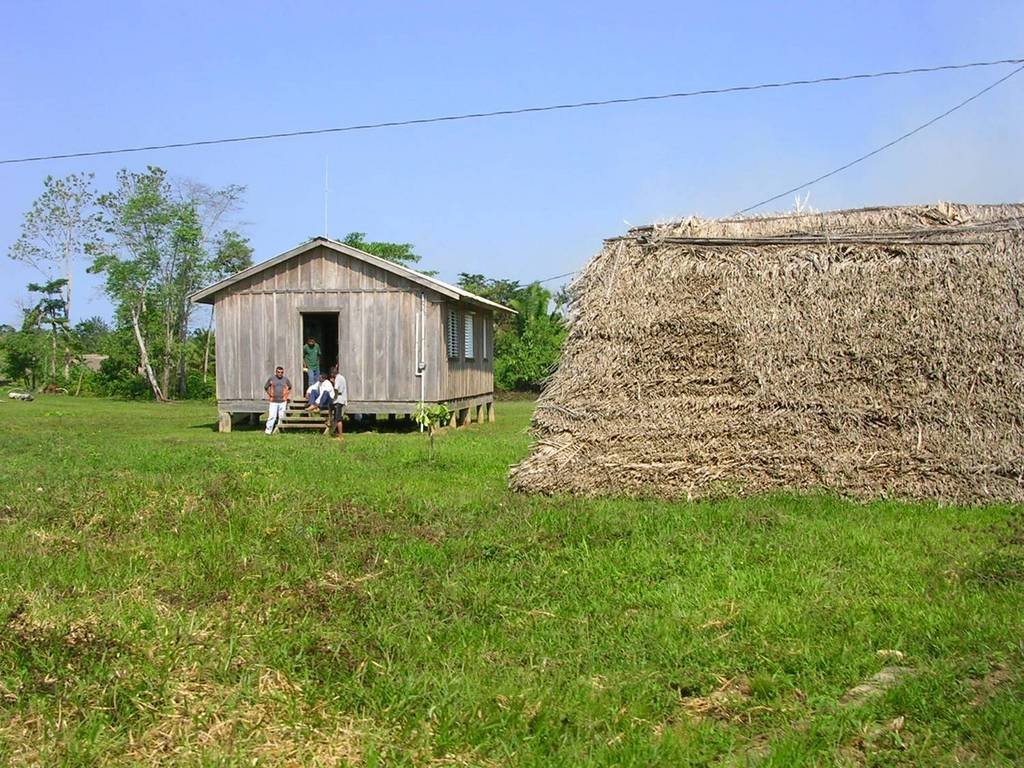 Help avert ecological disaster threatening Belize!