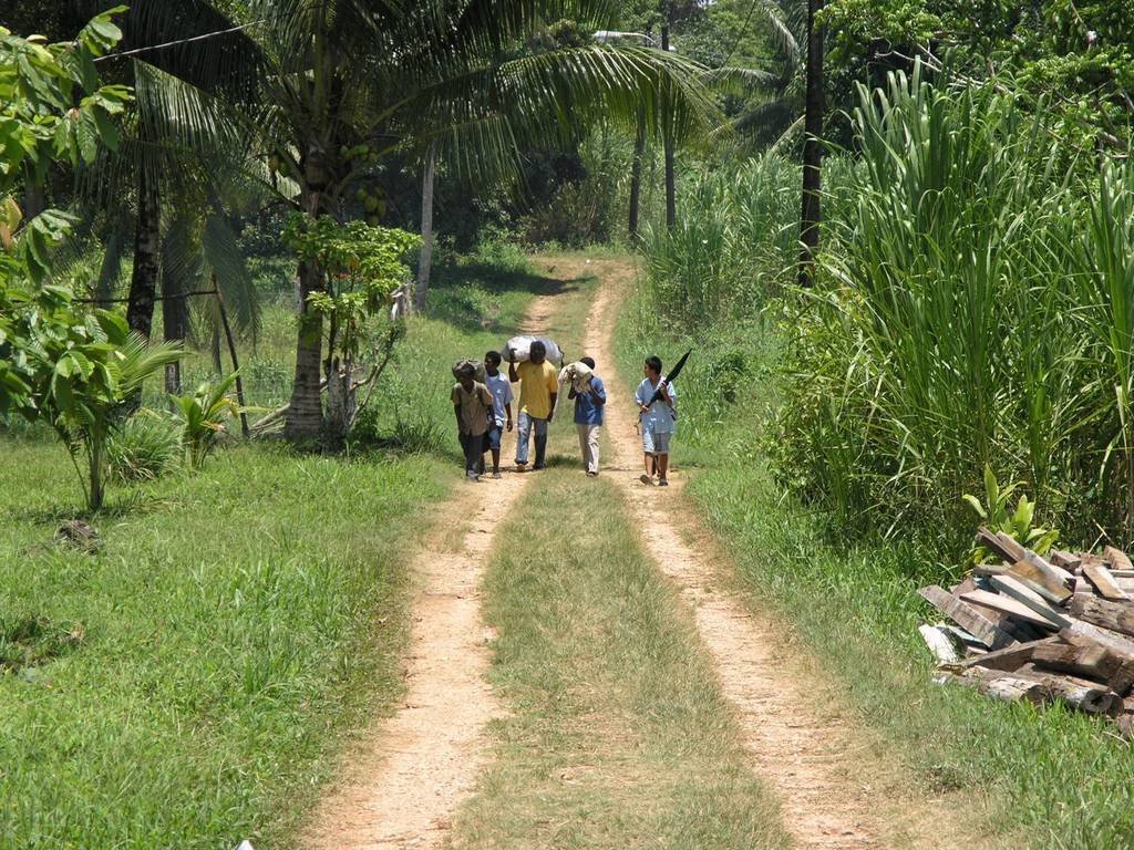 Help avert ecological disaster threatening Belize!