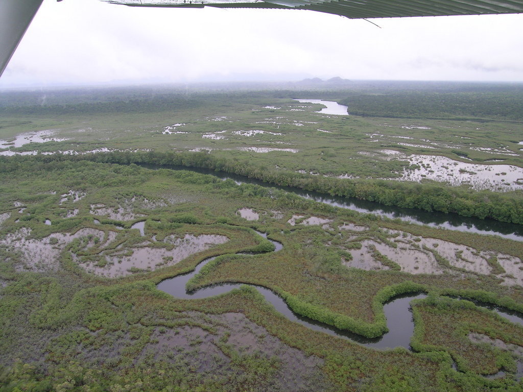 Help avert ecological disaster threatening Belize!