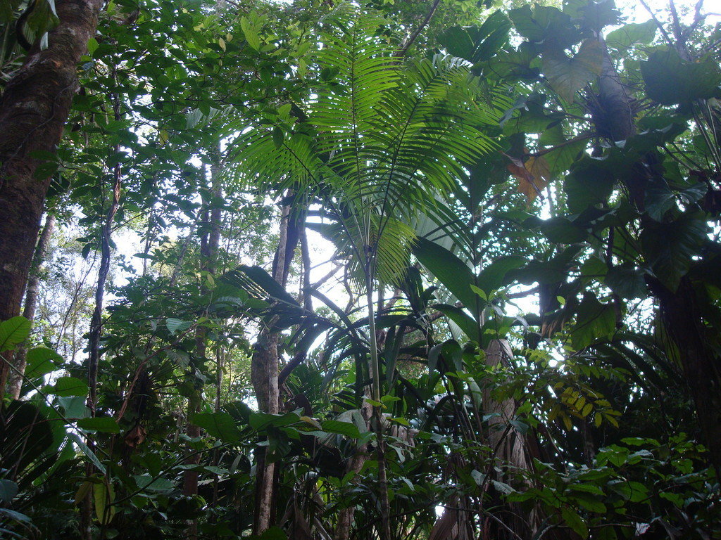 Help avert ecological disaster threatening Belize!