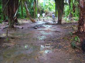 Assessing damage caused by oil exploration