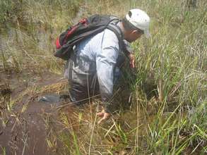 Foot patrol in the bog