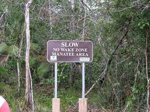 Manatee area