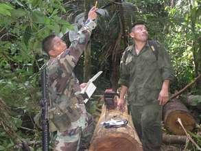 Ranger and soldier