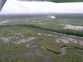 Wetlands of STNP