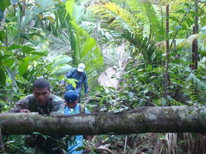 Foot patrol in the forest