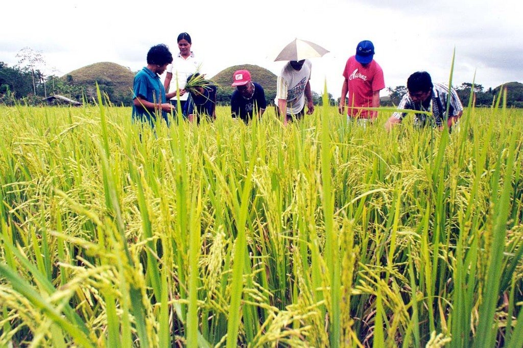 Build minidams for 100 poor farmers in Philippines