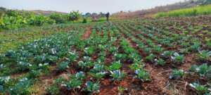 Ou community land for agriculture now happening