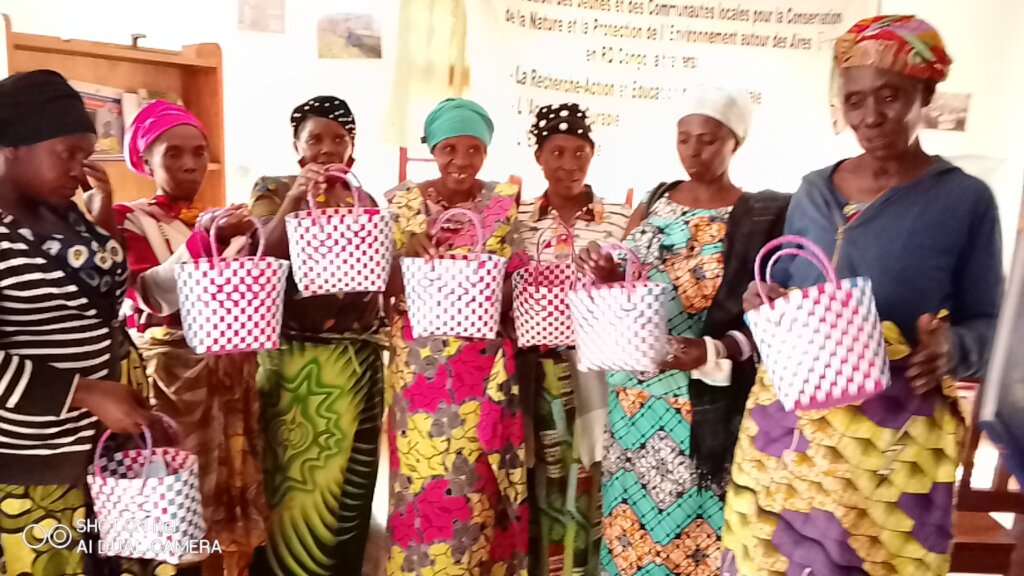Support small busness to 250 refugee women in DRC