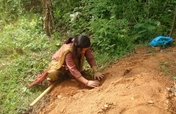 Youth Campaign for 1 Million Tree Plantation Nepal
