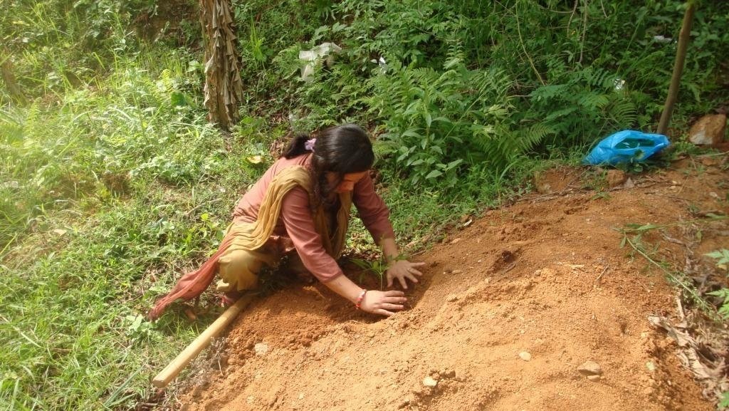 Youth Campaign for 1 Million Tree Plantation Nepal