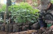 Carbon Farming to Mitigate Climate Change