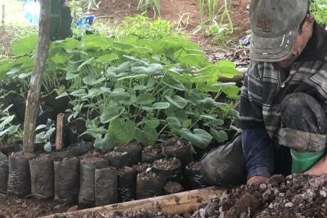 Carbon Farming to Mitigate Climate Change