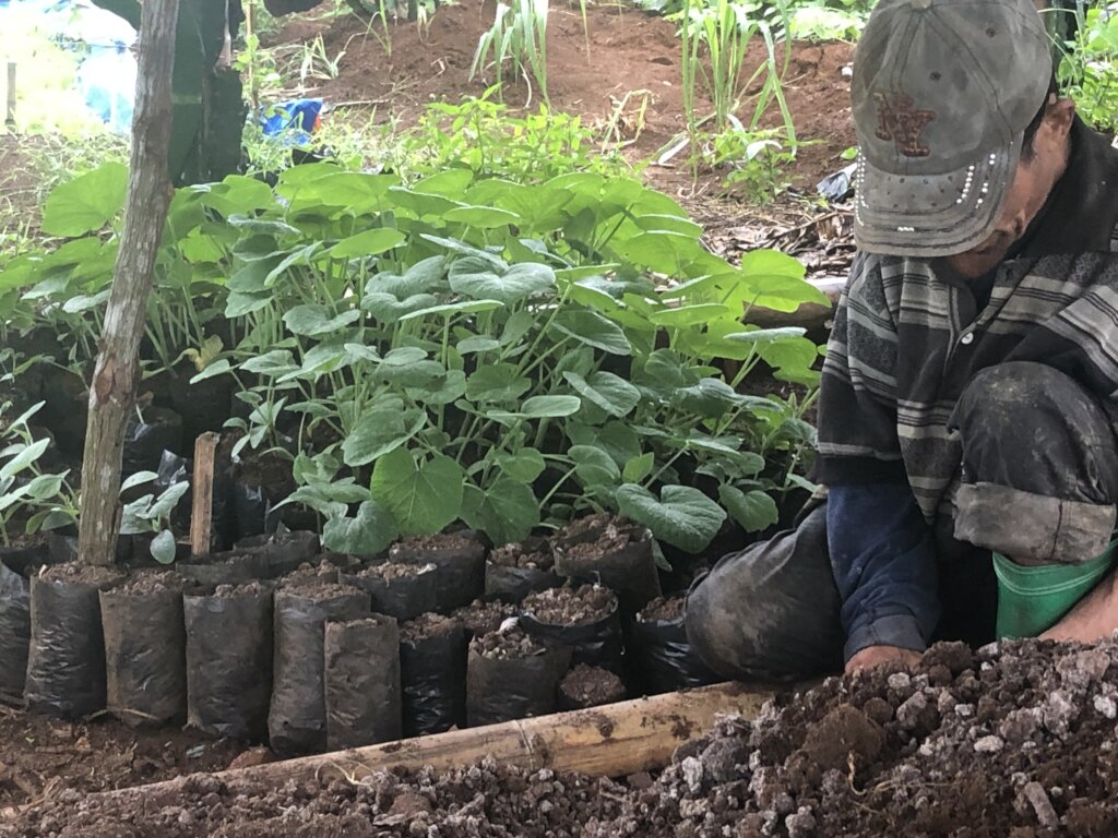 Carbon Farming to Mitigate Climate Change