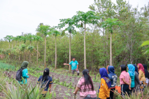 Learning from YUM's demonstration plot