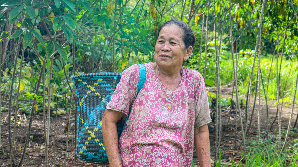Resilience through agroforestry in Kalimantan