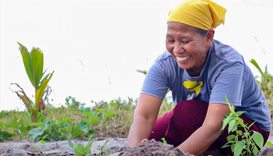 Resilience through agroforestry in Kalimantan