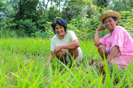 Resilience through agroforestry in Kalimantan