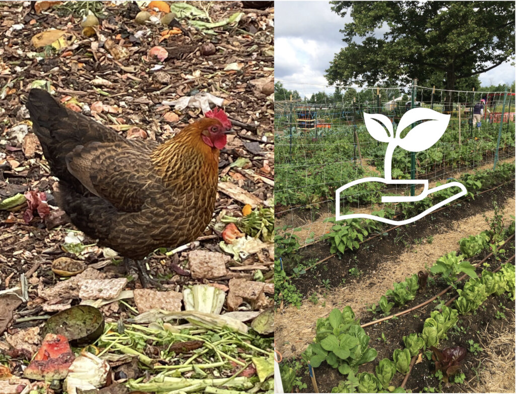 Putting Local Food on the Green Map!