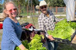 Putting Local Food on the Green Map!