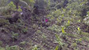 Another supported farm