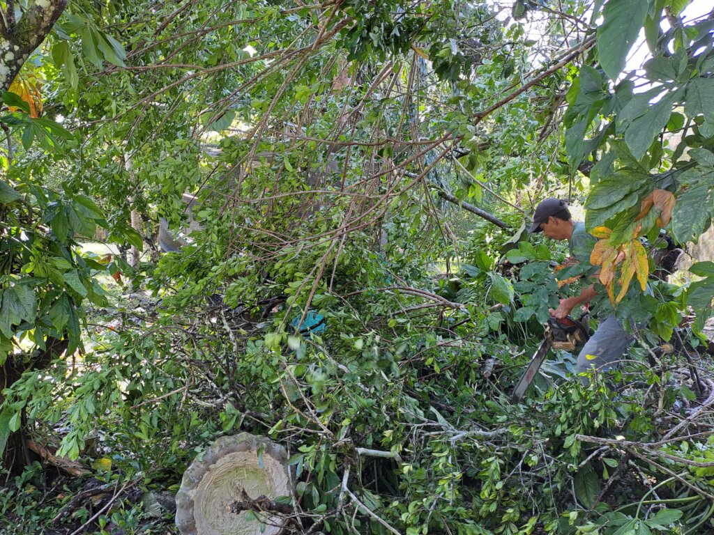 Hurricane Lisa Repair Appeal