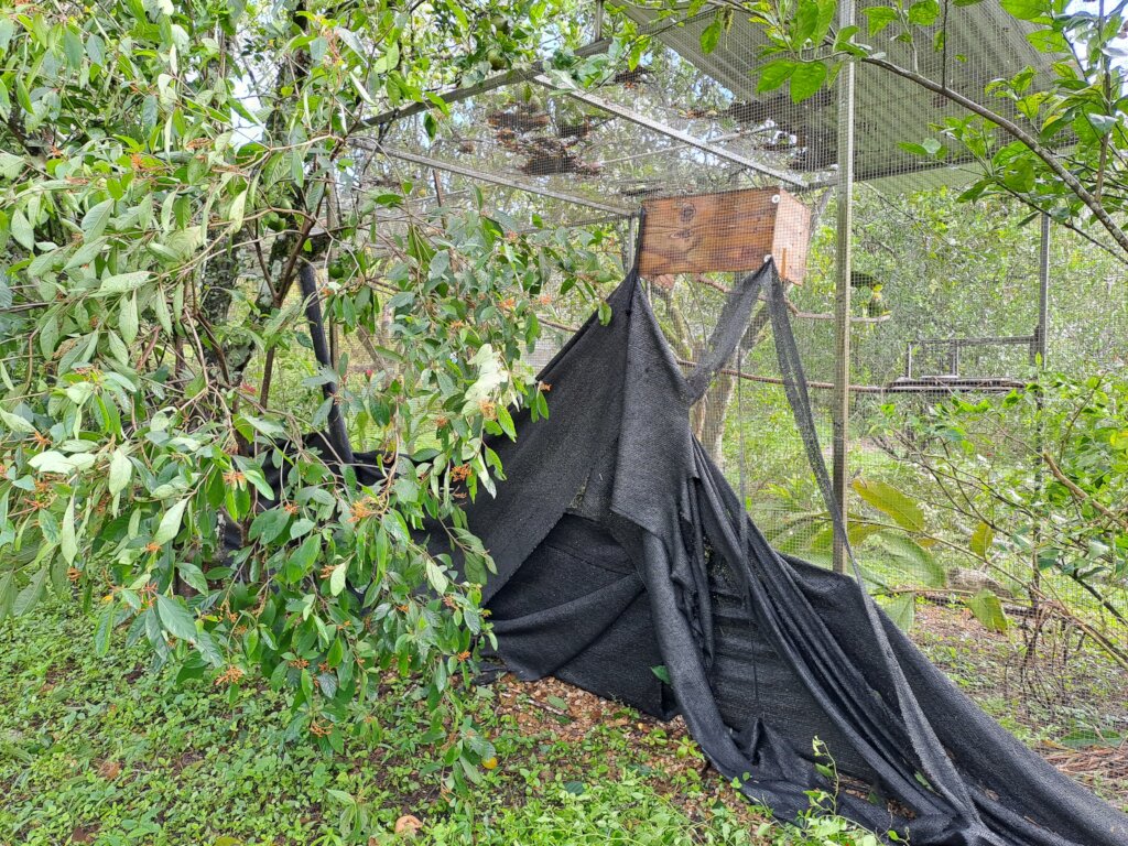 Hurricane Lisa Repair Appeal