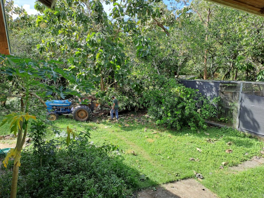 Hurricane Lisa Repair Appeal