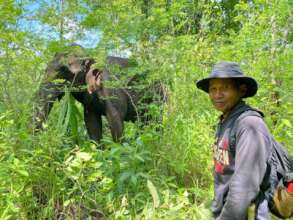 Mahout Mbloin & his ele Doe