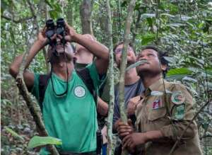 Forest and Wildlife Hike