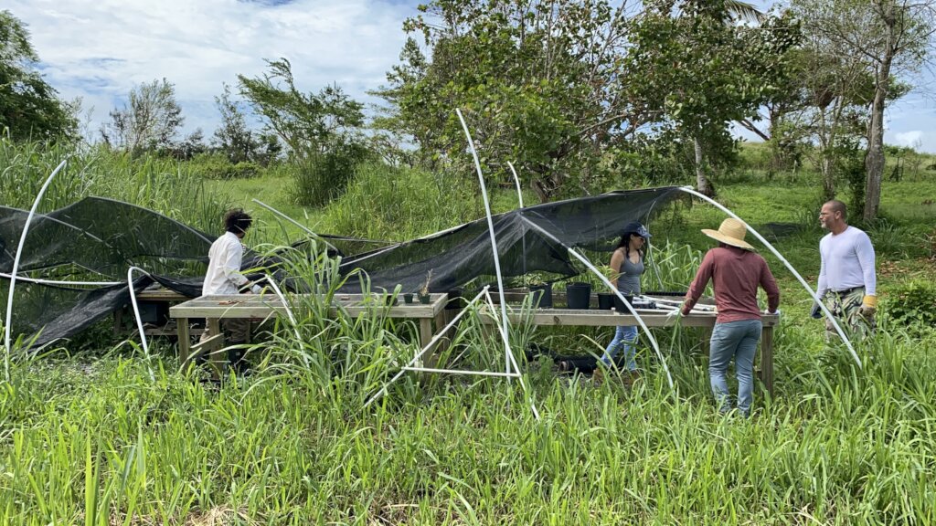 ISER Caribe Water & Climate Change Lab