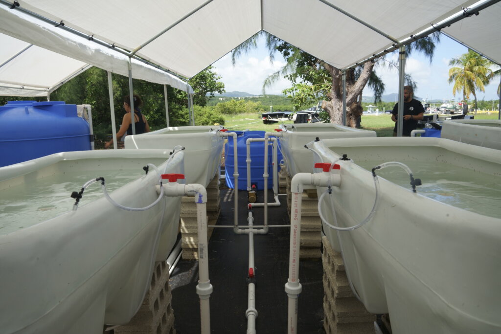 ISER Caribe Water & Climate Change Lab