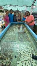 Isla Magueyes Coral and Sea Urchin Nursery & Team