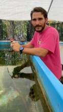 Manuel Olmeda Saldana, Sea Urchin Specialist