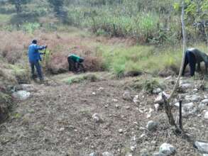 Clearing grass to protect from fires