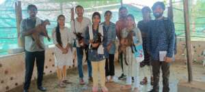 College interns on campus