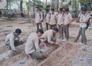 Creating community gardens