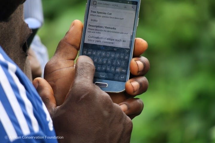 Save Africa's most endangered gorillas