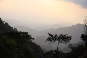 Cross River gorilla habitat - sunset