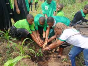 Tree planting is a team effort