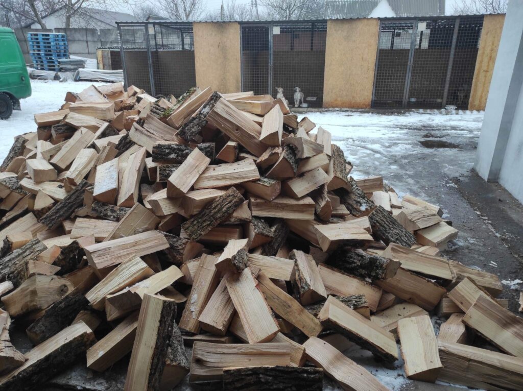 Help the animals in Ukraine survive the winter!