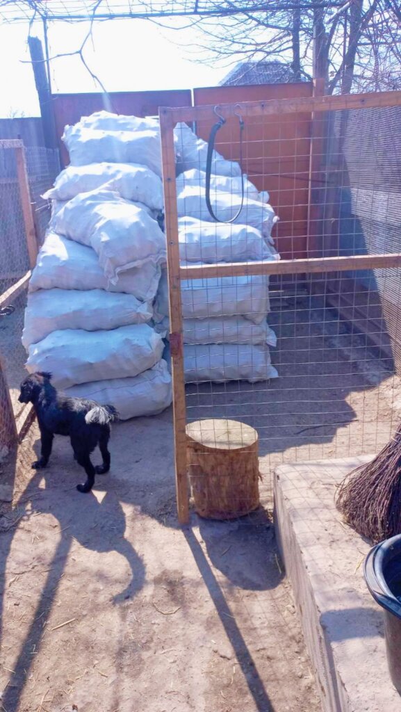 Help the animals in Ukraine survive the winter!