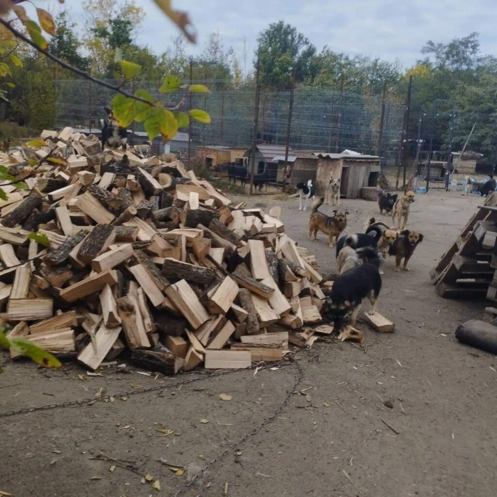 Help the animals in Ukraine survive the winter!