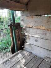 The wood in the kennels has become dilapidated