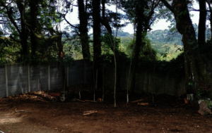 Flight Cages Area 2