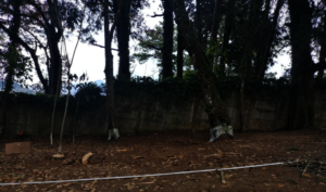 Flight Cages Area