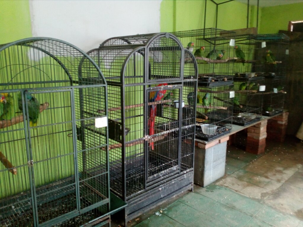 Wildlife Rescue Centre in Cerro Alux