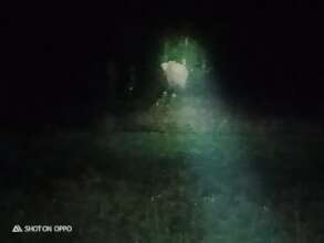 An elephant spotted near a waterhole we created